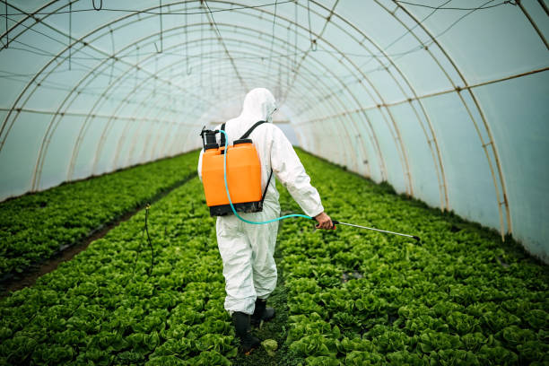 Best Pest Inspection Near Me  in Tri Lakes, IN