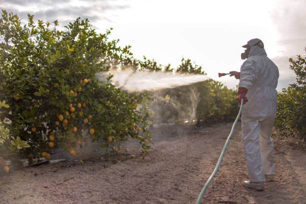 Best Wasp Removal Services  in Tri Lakes, IN