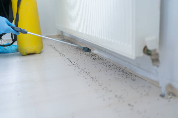 Best Emergency Pest Control  in Tri Lakes, IN